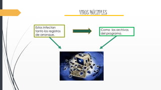 VIRUS MÚLTIPLES 
Estos Infectan 
tanto los registros 
de arranque. 
Como los archivos 
del programa. 
 