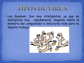  Los Gusanos: Son muy inteligentes, ya que se
 multiplican muy rápidamente, llegando hasta la
 memoria del computador e infectarla toda para no
 dejarla trabajar
 