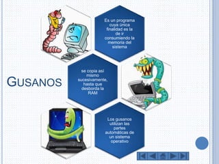 GUSANOS 
Es un programa 
cuya única 
finalidad es la 
de ir 
consumiendo la 
memoria del 
sistema 
se copia así 
mismo 
sucesivamente, 
hasta que 
desborda la 
RAM 
Los gusanos 
utilizan las 
partes 
automáticas de 
un sistema 
operativo 
 
