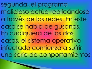 segunda, el programa
malicioso actúa replicándose
a través de las redes. En este
caso se habla de gusanos.
En cualquiera de los dos
casos, el sistema operativo
infectado comienza a sufrir
una serie de conportamientos
 