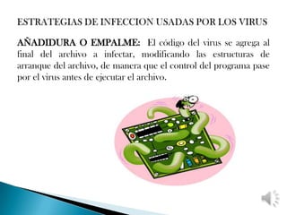 AÑADIDURA O EMPALME: El código del virus se agrega al
final del archivo a infectar, modificando las estructuras de
arranque del archivo, de manera que el control del programa pase
por el virus antes de ejecutar el archivo.
 
