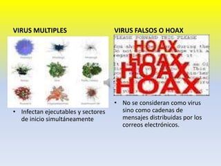 VIRUS MULTIPLES                     VIRUS FALSOS O HOAX




                                    • No se consideran como virus
• Infectan ejecutables y sectores     sino como cadenas de
  de inicio simultáneamente           mensajes distribuidas por los
                                      correos electrónicos.
 