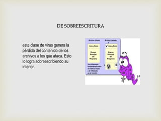 este clase de virus genera la
pérdida del contenido de los
archivos a los que ataca. Esto
lo logra sobreescribiendo su
interior.
DE SOBREESCRITURA
 