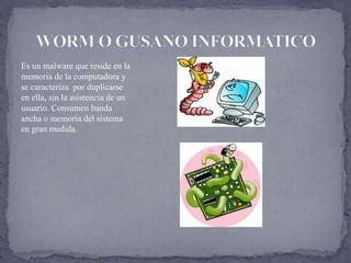Es un malware que reside en la
memoria de la computadora y
se caracteriza por duplicarse
en ella, sin la asistencia de un
usuario. Consumen banda
ancha o memoria del sistema
en gran medida.
 