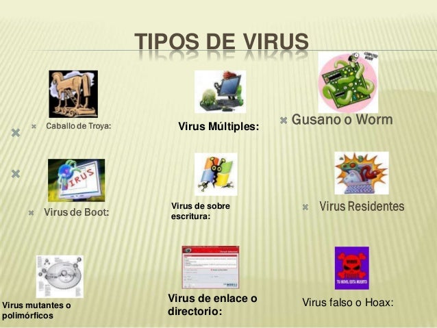 Virus informaticos.pdf