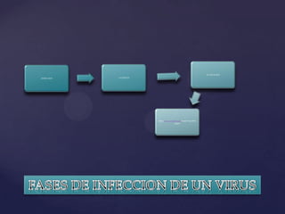 ACTIVACION
INFECCION   LATENCIA




                       http://www.youtube.com/watch?v=pe0Oe-
                                       qJqsw
 
