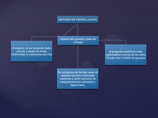 METODO DE PROPAGACION




                                        Existen dos grandes clases de
                                                  contagio

 el usuario, en un momento dado,
     ejecuta o acepta de forma                                                el programa malicioso actúa
inadvertida la instalación del viru                                        replicándose a través de las redes.
                                                                            En este caso se habla de gusanos




                                      En cualquiera de los dos casos, el
                                        sistema operativo infectado
                                       comienza a sufrir una serie de
                                       comportamientos anómalos o
                                               imprevistos.
 