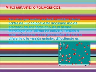 VIRUS MUTANTES O POLIMÓRFICOS:

   Son virus que mutan, es decir cambian ciertas
    partes de su código fuente haciendo uso de
    procesos de encriptación y de la misma
    tecnología que utilizan los antivirus. Debido a
    estas mutaciones, cada generación de virus es
    diferente a la versión anterior, dificultando así
    su detección y eliminación.
 