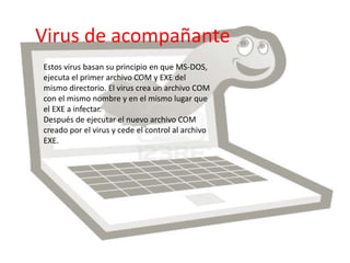 Virus de acompañante 
Estos virus basan su principio en que MS-DOS, 
ejecuta el primer archivo COM y EXE del 
mismo directorio. El virus crea un archivo COM 
con el mismo nombre y en el mismo lugar que 
el EXE a infectar. 
Después de ejecutar el nuevo archivo COM 
creado por el virus y cede el control al archivo 
EXE. 
 