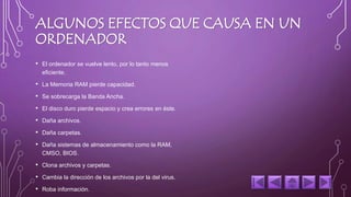 ALGUNOS EFECTOS QUE CAUSA EN UN 
ORDENADOR 
• El ordenador se vuelve lento, por lo tanto menos 
eficiente. 
• La Memoria RAM pierde capacidad. 
• Se sobrecarga la Banda Ancha. 
• El disco duro pierde espacio y crea errores en éste. 
• Daña archivos. 
• Daña carpetas. 
• Daña sistemas de almacenamiento como la RAM, 
CMSO, BIOS. 
• Clona archivos y carpetas. 
• Cambia la dirección de los archivos por la del virus. 
• Roba información. 
 