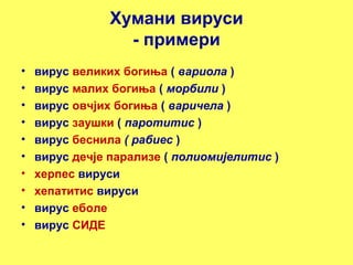 Хумани вируси 
- примери 
• вирус великих богиња ( вариола ) 
• вирус малих богиња ( морбили ) 
• вирус овчјих богиња ( варичела ) 
• вирус заушки ( паротитис ) 
• вирус беснила ( рабиес ) 
• вирус дечје парализе ( полиомијелитис ) 
• херпес вируси 
• хепатитис вируси 
• вирус еболе 
• вирус СИДЕ 
 