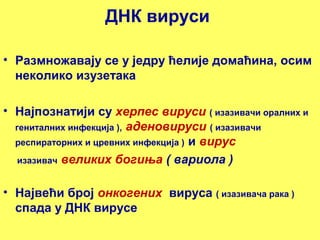ДНК вируси 
• Размножавају се у једру ћелије домаћина, осим 
неколико изузетака 
• Најпознатији су херпес вируси ( изазивачи оралних и 
гениталних инфекција ), аденовируси ( изазивачи 
респираторних и цревних инфекција ) и вирус 
изазивач великих богиња ( вариола ) 
• Највећи број онкогених вируса ( изазивача рака ) 
спада у ДНК вирусе 
 