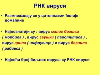 РНК вируси 
• Размножавају се у цитоплазми ћелије 
домаћина 
• Најпознатији су : вирус малих богиња 
( морбила ) , вирус заушки ( паротитиса ) , 
вирус грипа ( инфлуенце ) и вирус беснила 
( рабиеса ) 
• Највећи број биљних вируса су РНК вируси 
 