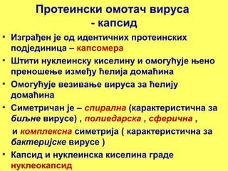 Протеински омотач вируса 
- капсид 
• Изграђен је од идентичних протеинских 
подјединица – капсомера 
• Штити нуклеинску киселину и омогућује њено 
преношење између ћелија домаћина 
• Омогућује везивање вируса за ћелију 
домаћина 
• Симетричан је – спирална (карактеристична за 
биљне вирусе) , полиедарска , сферична , 
и комплексна симетрија ( карактеристична за 
бактеријске вирусе ) 
• Капсид и нуклеинска киселина граде 
нуклеокапсид 
 