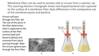 Filterable Virus Virus isolation & cultivation | PPTX