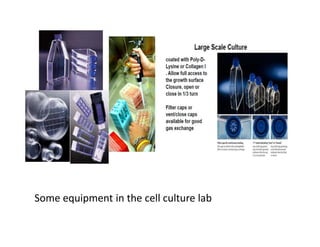 Some equipment in the cell culture lab
 