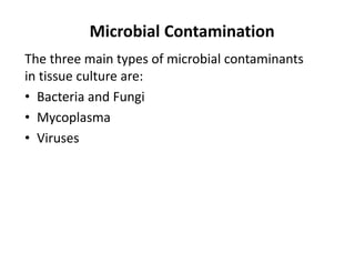Microbial Contamination
The three main types of microbial contaminants
in tissue culture are:
• Bacteria and Fungi
• Mycoplasma
• Viruses
 