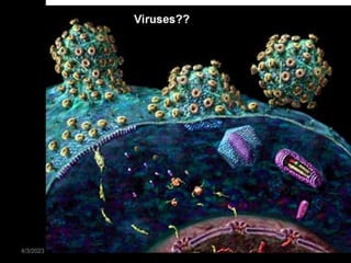 Virus Life Cycle- Viruses in which the immune response eliminates them from the body or viruses can persist despite the host immune response.