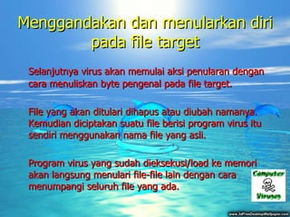 Menggandakan dan menularkan diri pada file target Selanjutnya virus  akan memulai aksi penularan dengan cara menuliskan byte pengenal pada file  target. File yang akan ditulari dihapus atau diubah namanya. Kemudian diciptakan suatu file berisi program virus itu sendiri menggunakan nama file yang asli. Program virus yang sudah dieksekusi/load ke memori akan langsung menulari file-file lain dengan cara menumpangi seluruh file yang ada.  