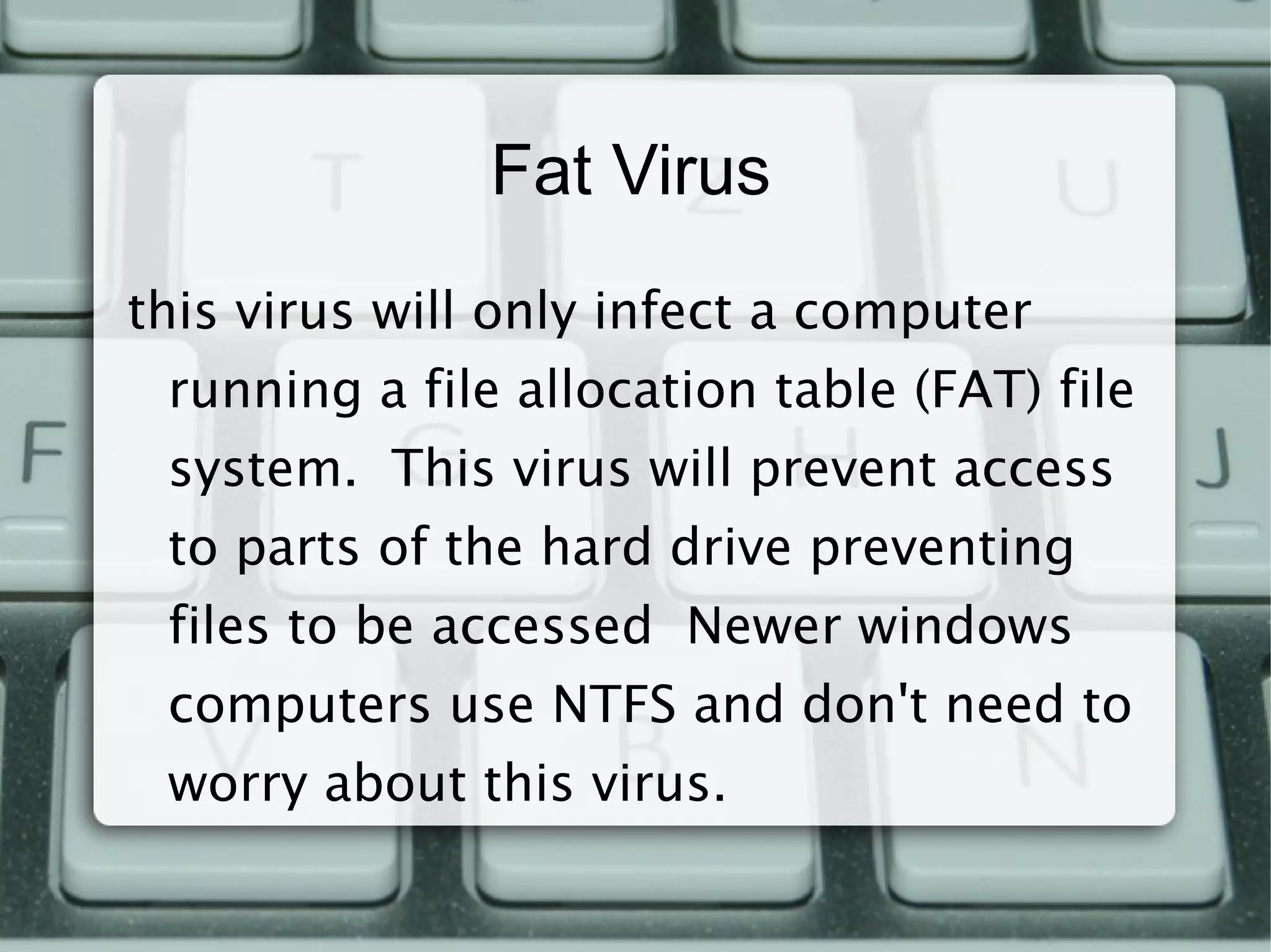 Directory Polymorphic  