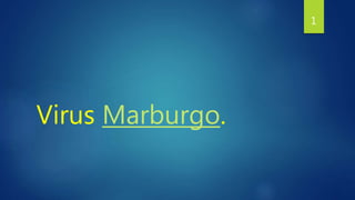 Virus Marburgo.
1
 