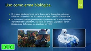 Uso como arma biológica.
 El virus de Marburgo formó parte de una serie de agentes patógenos
militarizados con éxito por el programa biológico soviético Biopreparat.
 El virus fue modificado genéticamente para crear una nueva cepa más
mortal llamada "variante U", cepa que fue armada y aprobada por el
Ministerio de Defensa de los soviéticos en 1990.
10
 