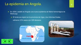 La epidemia en Angola.
 En 2004, estalló en Angola una nueva epidemia de fiebre hemorrágica de
Marburgo.
 El brote se originó en la provincia de Uige y los informes finales
refirieron 374 casos con 329 decesos.
4
 