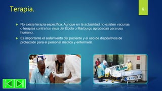 Terapia.
 No existe terapia específica. Aunque en la actualidad no existen vacunas
o terapias contra los virus del Ébola o Marburgo aprobadas para uso
humano.
 Es importante el aislamiento del paciente y el uso de dispositivos de
protección para el personal médico y enfermeril.
9
 