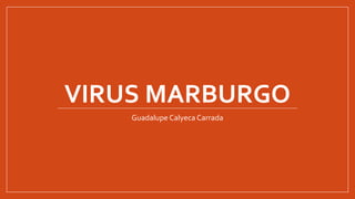 VIRUS MARBURGO
Guadalupe Calyeca Carrada
 