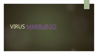 VIRUS MARBURGO
 