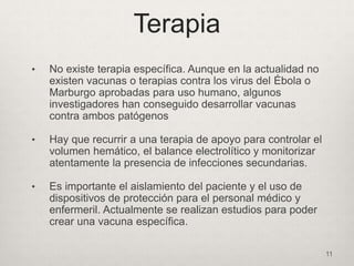 Terapia
• No existe terapia específica. Aunque en la actualidad no
existen vacunas o terapias contra los virus del Ébola o
Marburgo aprobadas para uso humano, algunos
investigadores han conseguido desarrollar vacunas
contra ambos patógenos
• Hay que recurrir a una terapia de apoyo para controlar el
volumen hemático, el balance electrolítico y monitorizar
atentamente la presencia de infecciones secundarias.
• Es importante el aislamiento del paciente y el uso de
dispositivos de protección para el personal médico y
enfermeril. Actualmente se realizan estudios para poder
crear una vacuna específica.
11
 