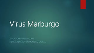 Virus Marburgo
EMILIO CARMONA VILCHIS
HERRAMIENTAS Y COMUNIDAD DIGITAL
 