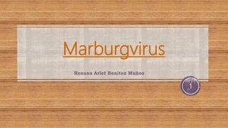 Marburgvirus
Roxana Arlet Benítez Muñoz
1
 