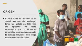 ORIGEN
• El virus toma su nombre de la
ciudad alemana de Marburgo,
donde fue aislado en 1967 tras
una epidemia de fiebre
hemorrágica que cundió en el
personal de laboratorio encargado
de cultivos celulares, que luego
resultaron estar infectados.
3
 