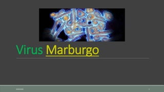Virus Marburgo
29/04/2020 1
 