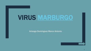 VIRUS MARBURGO
Arteaga Domínguez Marco Antonio
1
 