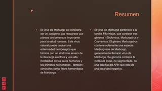 z
Resumen
 El virus de Marburgo se considera
ser un patógeno que reaparece que
plantea una amenaza importante
para la salud humana. Este virus
natural puede causar una
enfermedad hemorrágica que
fulmina con un síndrome severo de
la descarga eléctrica y una alta
mortalidad en los seres humanos y
los primates no humanos - también
conocidos como fiebre hemorrágica
de Marburgo.
 El virus de Marburgo pertenece a la
familia Filoviridae, que contiene tres
géneros - Ebolavirus, Marburgvirus y
Cuevavirus. El género Marburgvirus
contiene solamente una especie:
Marburgvirus de Marburgo,
generalmente llamado virus de
Marburgo. Su genoma contiene la
molécula lineal, no segmentada, de
una sola fila del ARN que está de
una polaridad negativa.
 