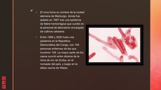 z  El virus toma su nombre de la ciudad
alemana de Marburgo, donde fue
aislado en 1967 tras una epidemia
de fiebre hemorrágica que cundió en
el personal de laboratorio encargado
de cultivos celulares
 Entre 1998 y 2000 hubo una
epidemia en la República
Democrática del Congo, con 154
personas enfermas de las que
murieron 128. La mayor parte de los
casos ocurrió entre obreros de la
mina de oro de Durba, en el
noroeste del país, y luego en la
aldea vecina de Watsa.
 
