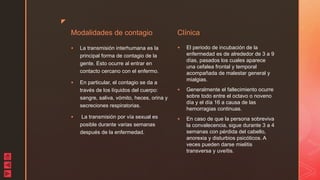 z
Modalidades de contagio
 La transmisión interhumana es la
principal forma de contagio de la
gente. Esto ocurre al entrar en
contacto cercano con el enfermo.
 En particular, el contagio se da a
través de los líquidos del cuerpo:
sangre, saliva, vómito, heces, orina y
secreciones respiratorias.
 La transmisión por vía sexual es
posible durante varias semanas
después de la enfermedad.
Clínica
 El periodo de incubación de la
enfermedad es de alrededor de 3 a 9
días, pasados los cuales aparece
una cefalea frontal y temporal
acompañada de malestar general y
mialgias.
 Generalmente el fallecimiento ocurre
sobre todo entre el octavo o noveno
día y el día 16 a causa de las
hemorragias continuas.
 En caso de que la persona sobreviva
la convalecencia, sigue durante 3 a 4
semanas con pérdida del cabello,
anorexia y disturbios psicóticos. A
veces pueden darse mielitis
transversa y uveítis.
 
