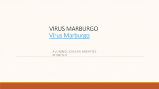 VIRUS MARBURGO
Virus Marburgo
ALUMNO: EVELYN MONTIEL
MORENO
 