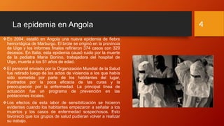 La epidemia en Angola
En 2004, estalló en Angola una nueva epidemia de fiebre
hemorrágica de Marburgo. El brote se originó en la provincia
de Uige y los informes finales refirieron 374 casos con 329
decesos. En Italia, esta epidemia causó ruido por la muerte
de la pediatra Maria Bonino, trabajadora del hospital de
Uige, muerta a los 51 años de edad.
El personal enviado por la Organización Mundial de la Salud
fue retirado luego de los actos de violencia a los que había
sido sometido por parte de los habitantes del lugar,
frustrados por la poca eficacia de las curas y la
preocupación por la enfermedad. La principal línea de
actuación fue un programa de prevención en las
poblaciones locales.
Los efectos de esta labor de sensibilización se hicieron
evidentes cuando los habitantes empezaron a señalar a los
muertos y los casos de enfermedad sospechosos. Esto
favoreció que los grupos de salud pudieran volver a realizar
su trabajo.
4
 