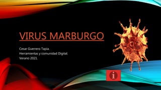VIRUS MARBURGO
Cesar Guerrero Tapia.
Herramientas y comunidad Digital.
Verano 2021.
 