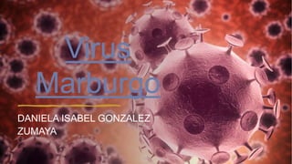 Virus
Marburgo
DANIELA ISABEL GONZALEZ
ZUMAYA
 