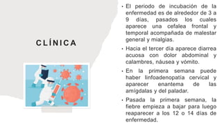 C L Í N I C A
• El periodo de incubación de la
enfermedad es de alrededor de 3 a
9 días, pasados los cuales
aparece una cefalea frontal y
temporal acompañada de malestar
general y mialgias.
• Hacia el tercer día aparece diarrea
acuosa con dolor abdominal y
calambres, náusea y vómito.
• En la primera semana puede
haber linfoadenopatía cervical y
aparecer enantema de las
amígdalas y del paladar.
• Pasada la primera semana, la
fiebre empieza a bajar para luego
reaparecer a los 12 o 14 días de
enfermedad.
 