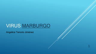 VIRUS MARBURGO
Angelica Tenorio Jiménez
1
 
