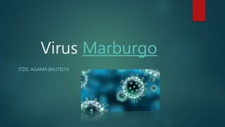 Virus Marburgo
ITZEL AGAMA BAUTISTA
 