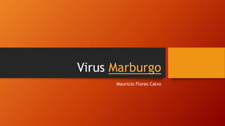 Virus Marburgo
Mauricio Flores Calvo
 