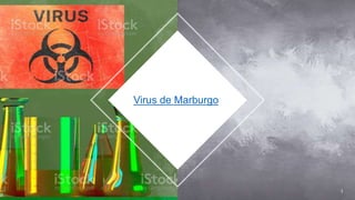 Virus de Marburgo
1
 