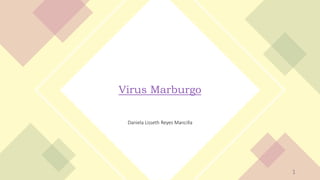 Daniela Lisseth Reyes Mancilla
Virus Marburgo
1
 