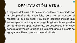 REPLICACIÓN VIRAL
• El ingreso del virus a la célula hospedante es mediado por
la glicoproteína de superficie, pero no se conoce el
receptor al que se pega. Hay quien sostiene incluso que
los receptores a los que se pega la glicoproteína pueden
ser de distintos tipos. Asimismo, se desconoce si el virus
penetra a través de la fusión de la membrana o si a esto se
agrega también un proceso de endocitosis.
6
 
